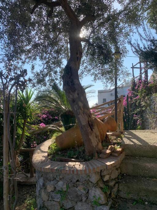 Villa Hermosa Costiera Amalfitana Exteriör bild