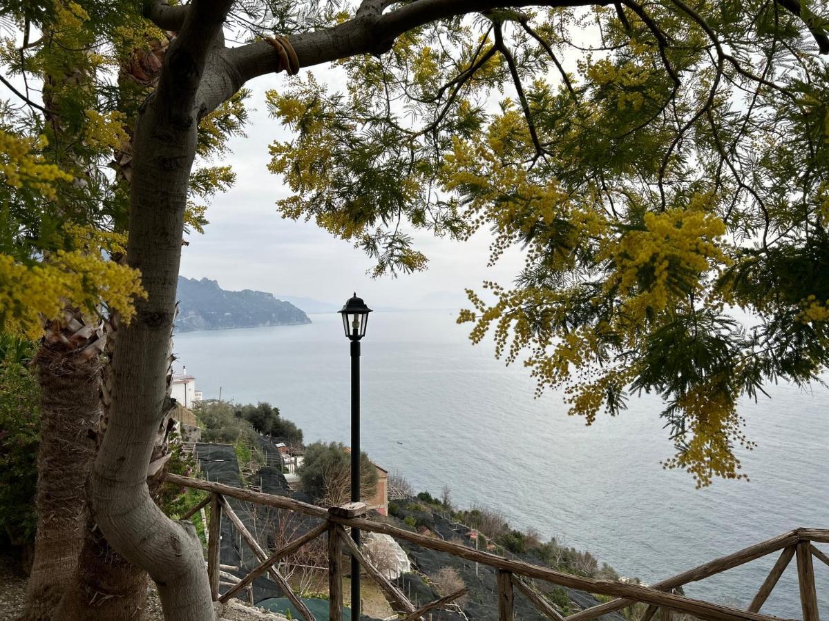 Villa Hermosa Costiera Amalfitana Exteriör bild